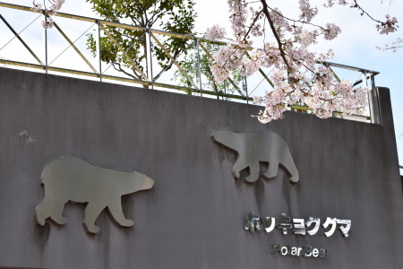 f0344626_22081745.jpg