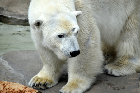 f0344626_22105163.jpg