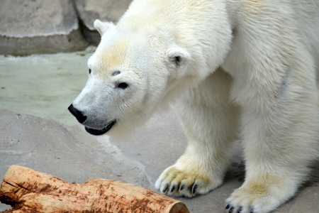 f0344626_22111407.jpg