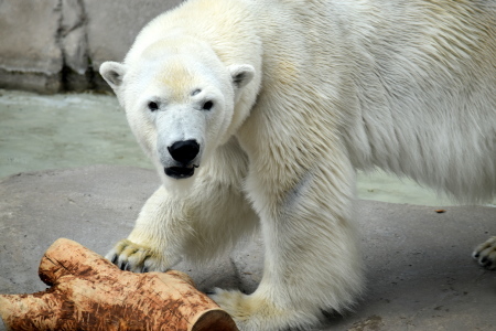f0344626_22124925.jpg
