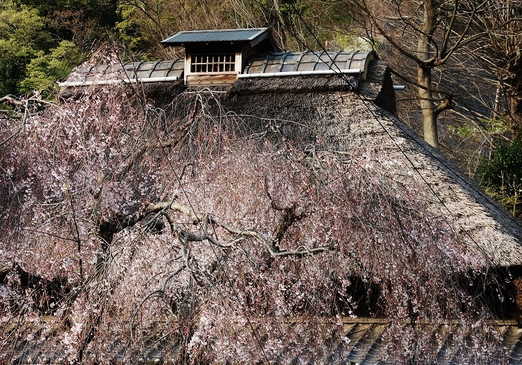 b0252727_2135513.jpg
