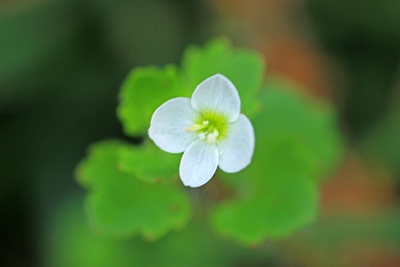 c0104227_16544532.jpg