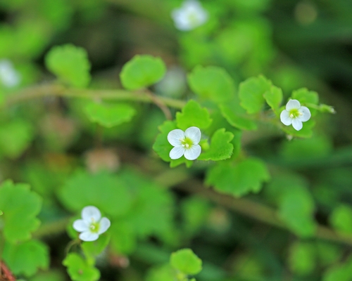 c0104227_166777.jpg