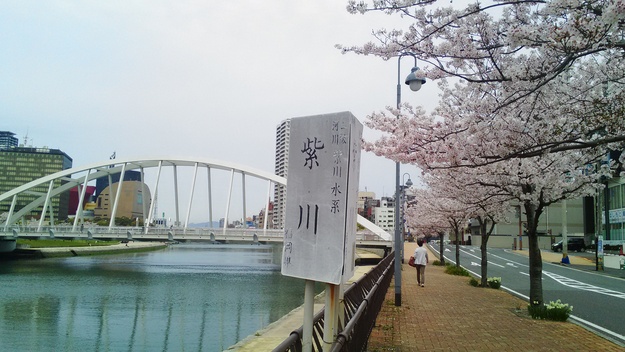 a0284528_1720433.jpg