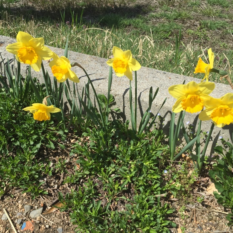 b0228428_13241145.jpeg