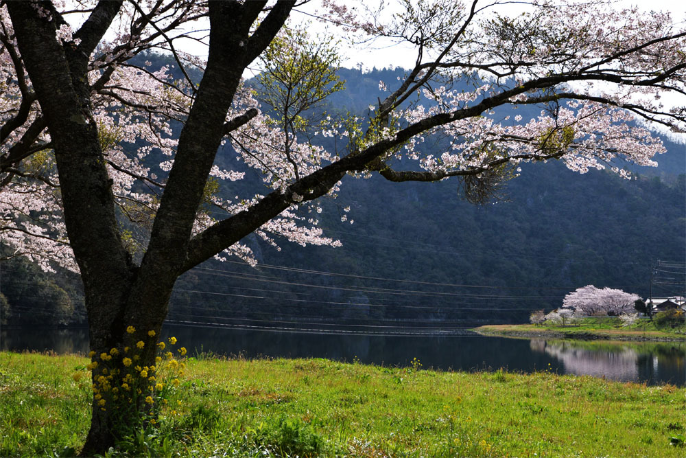 d0029829_11552843.jpg