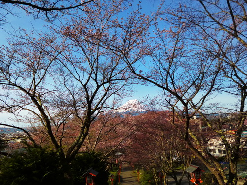 f0304030_862072.jpg