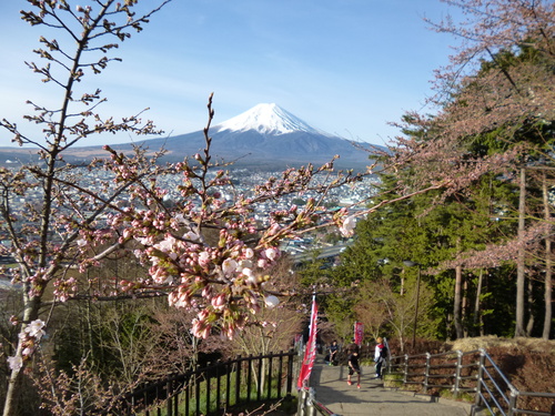f0304030_864933.jpg