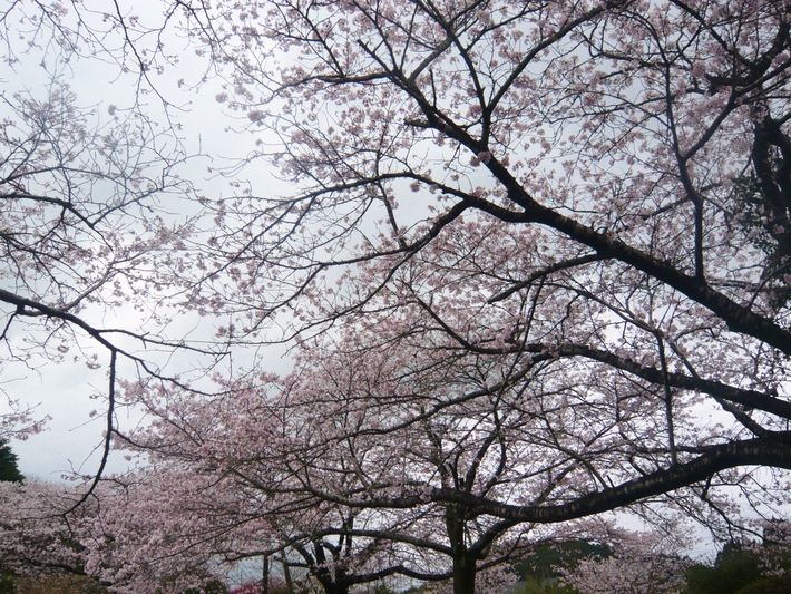 a0206332_2146597.jpg