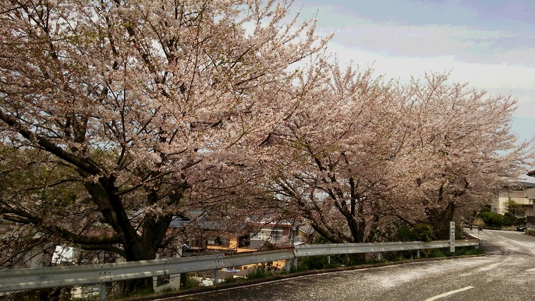 f0002833_22571362.jpg