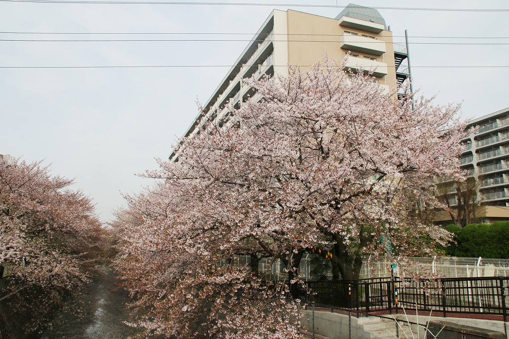 e0052135_14493226.jpg