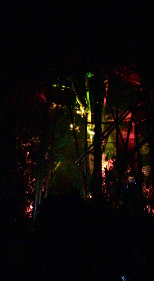 f0001835_021046.jpg
