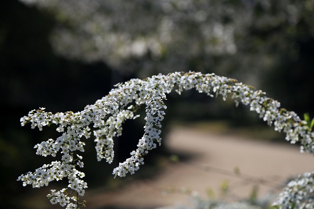 a0242438_1941290.jpg