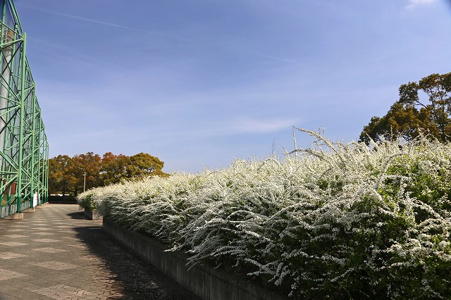 a0242438_1951235.jpg