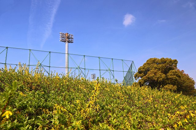 a0242438_1952269.jpg