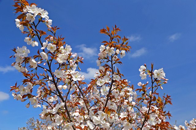 a0242438_1955212.jpg