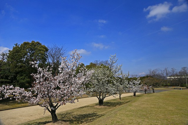 a0242438_1955986.jpg