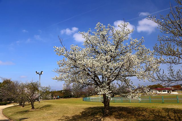 a0242438_1961088.jpg