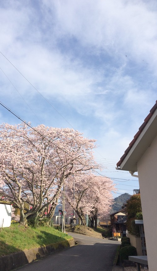 a0271948_101838100.jpg