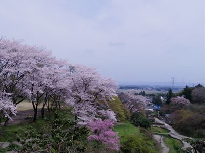 b0220251_20423317.jpg