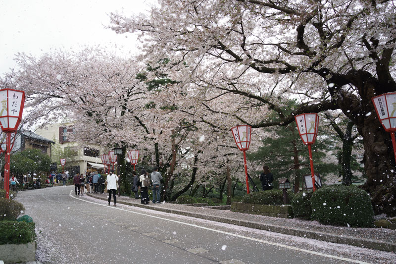d0342652_17573840.jpg