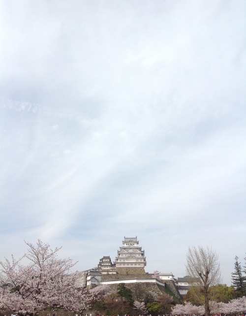b0330555_8105671.jpg
