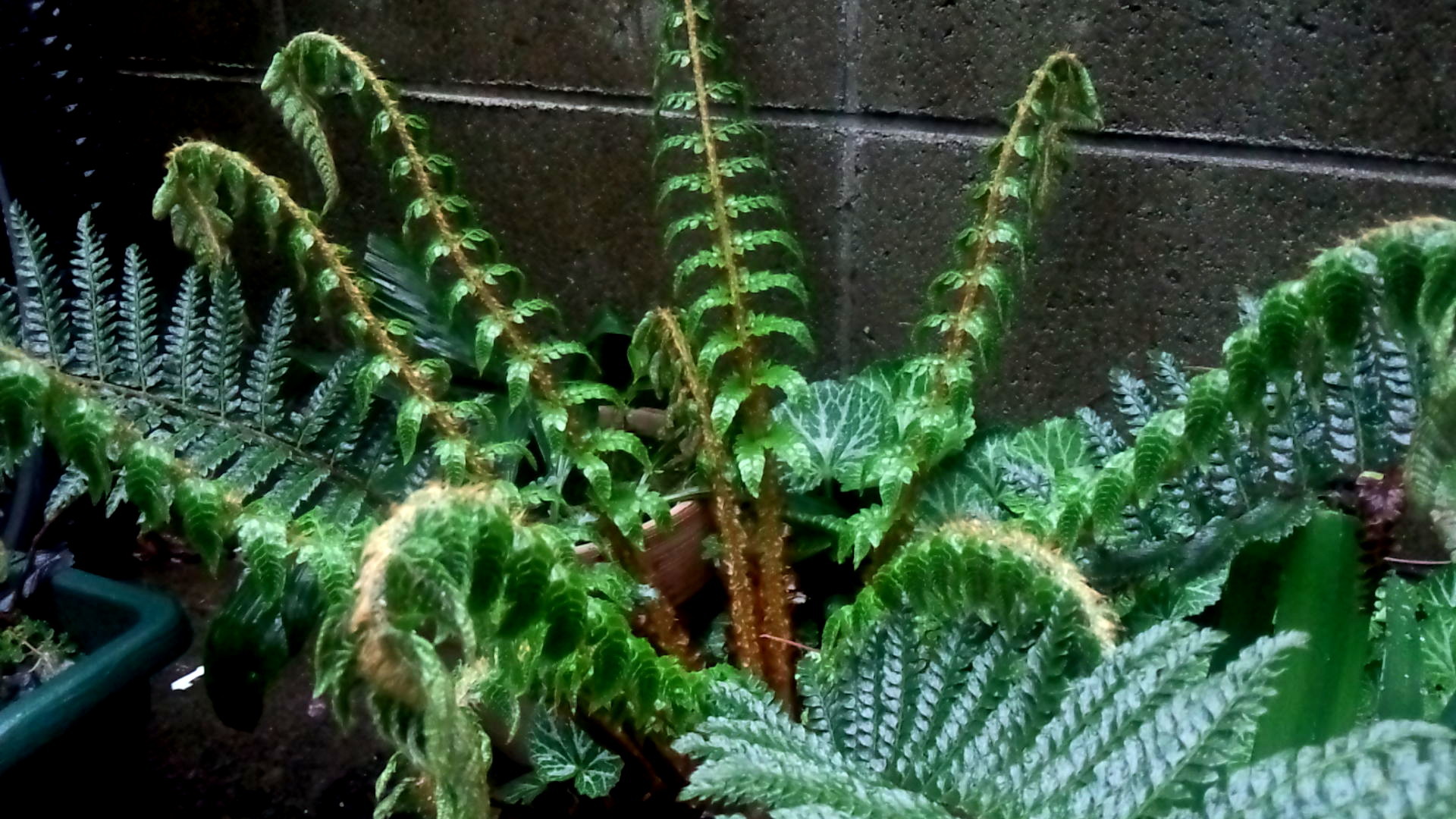 b0362459_01442830.jpg