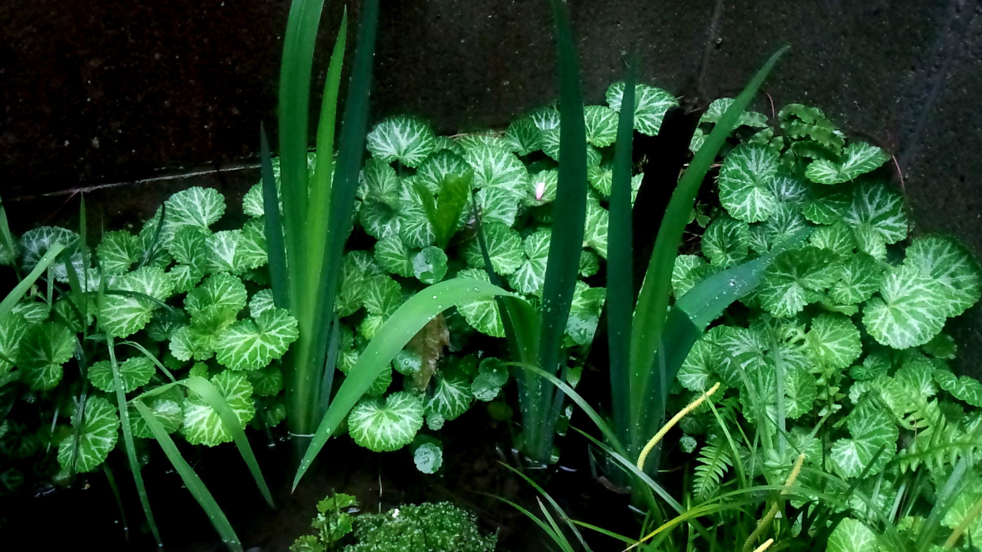 b0362459_01443379.jpg
