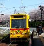 d0034659_2393736.jpg