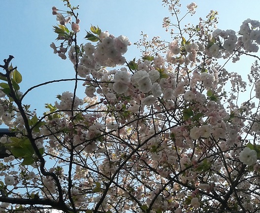 c0053571_1817875.jpg