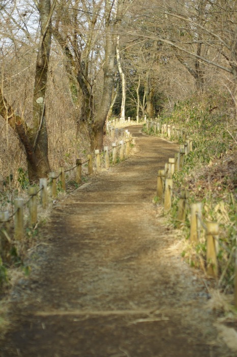 e0307372_16111984.jpg
