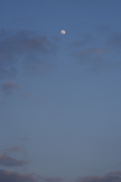 e0307372_16322219.jpg