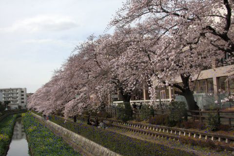 f0047773_11244792.jpg