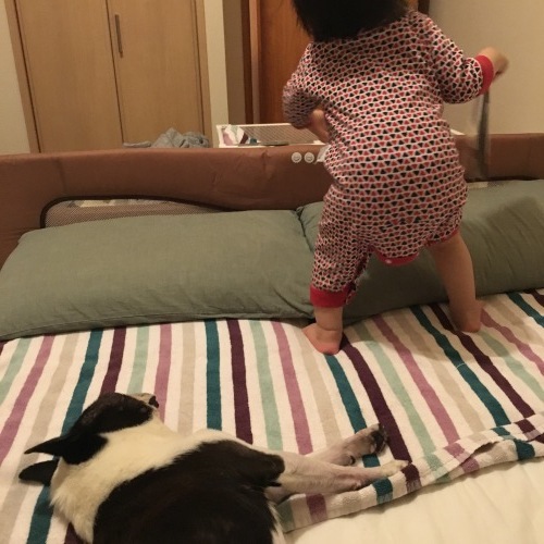d0041575_21094219.jpeg