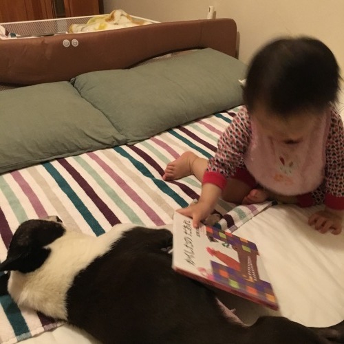 d0041575_21101602.jpeg