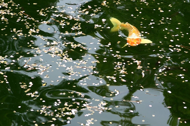 d0126577_23413050.jpg