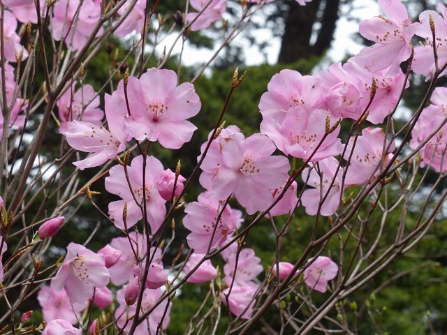 f0357487_0193440.jpg
