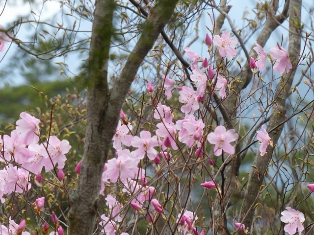 f0357487_2318777.jpg