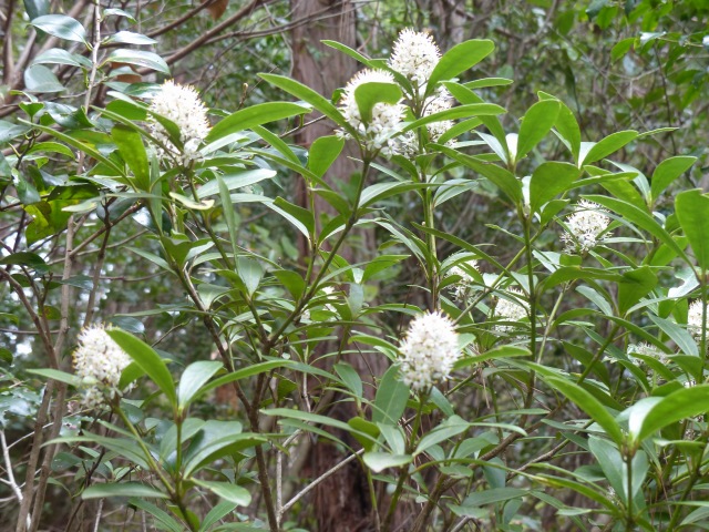 f0357487_23201341.jpg