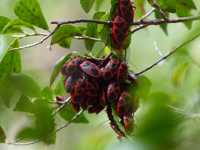 f0357487_23215574.jpg