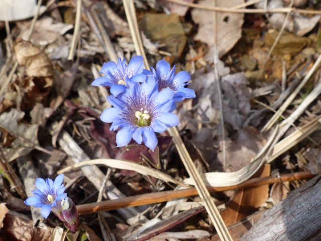 f0357487_2323212.jpg