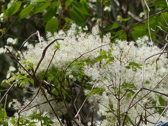 f0357487_23245590.jpg