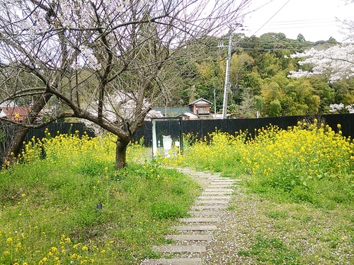 d0147789_1961090.jpg