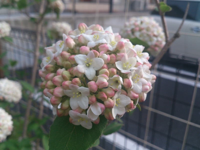 d0350392_21174955.jpg