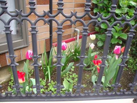 c0322794_23545838.jpg