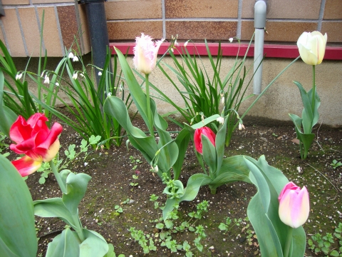 c0322794_23563977.jpg