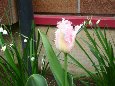 c0322794_2357695.jpg