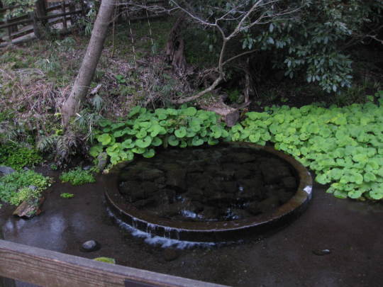 f0010195_23150906.jpg