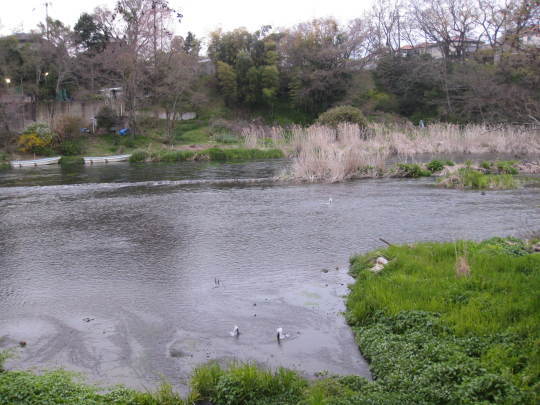 f0010195_23152586.jpg