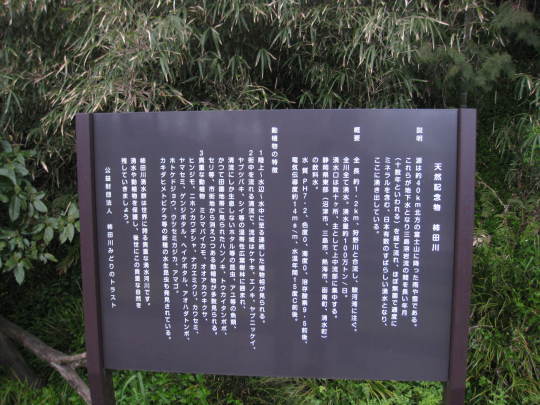 f0010195_23153283.jpg